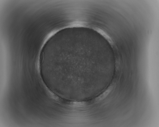 X0000111161469200907141351
