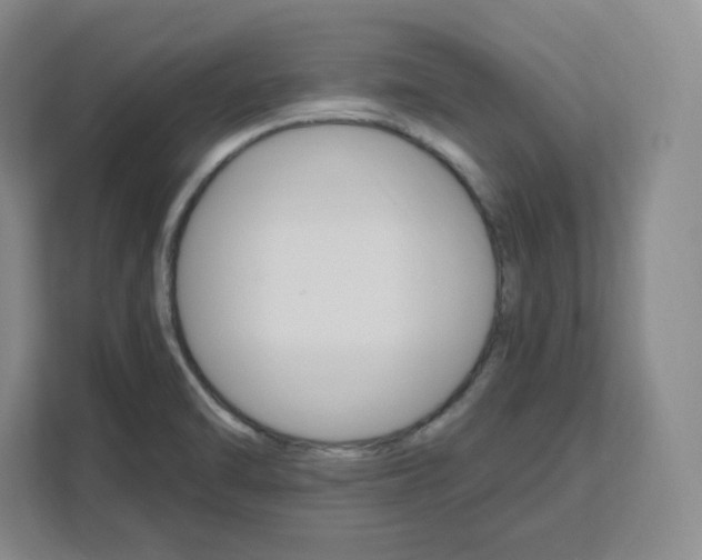 X0000111161470200907141351