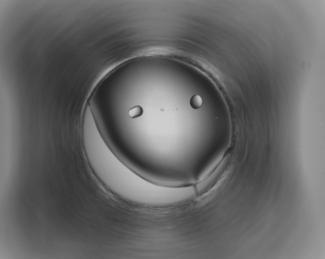 X0000111161473200907141351