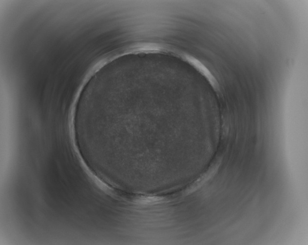 X0000111161475200907141351