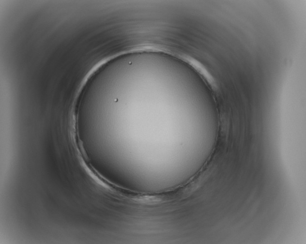 X0000111161476200907141351