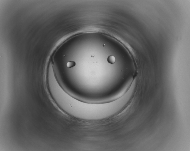 X0000111161477200907141351
