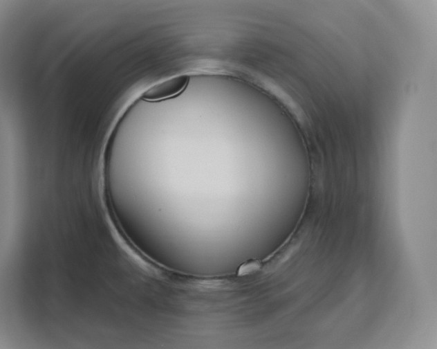 X0000111161479200907141351