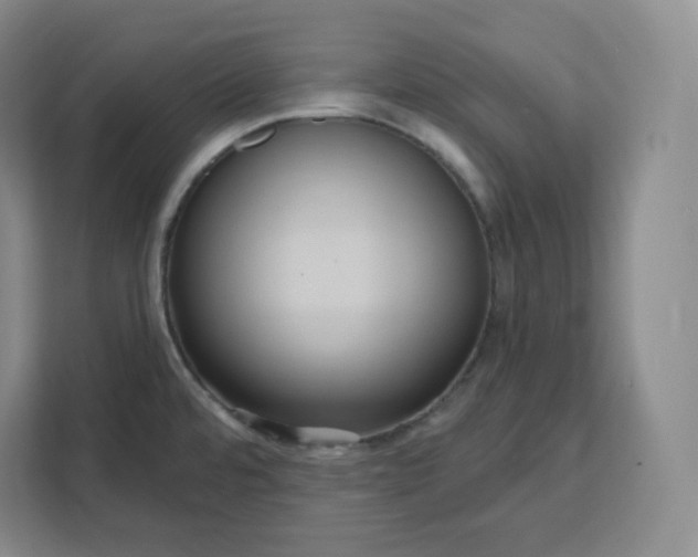 X0000111161480200907141351