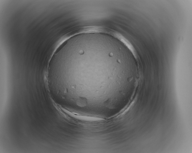 X0000111161481200907141351