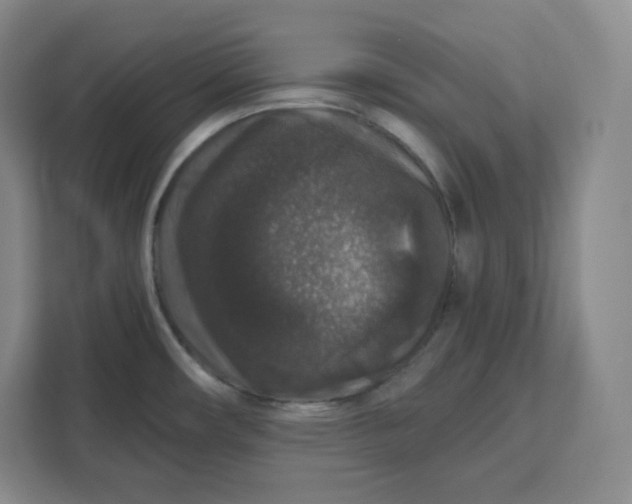 X0000111161482200907141351