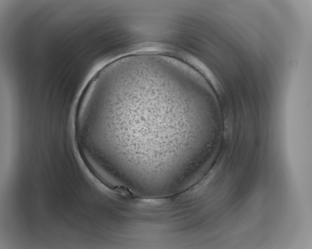X0000111161483200907141351