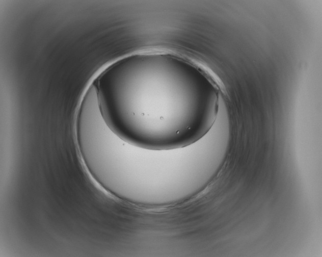 X0000111161484200907141351
