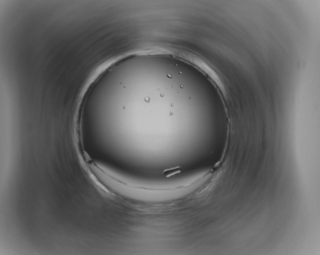 X0000111161485200907141351
