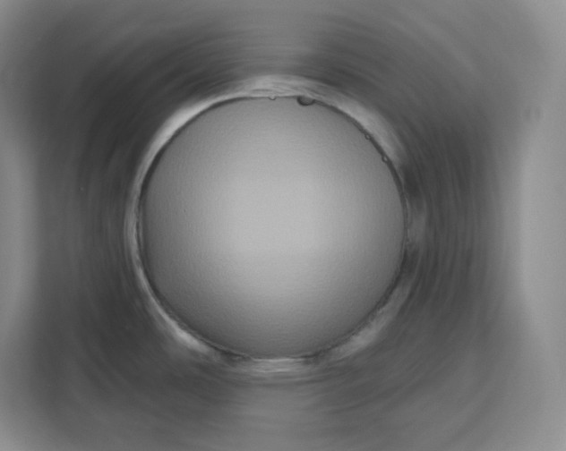 X0000111161486200907141351