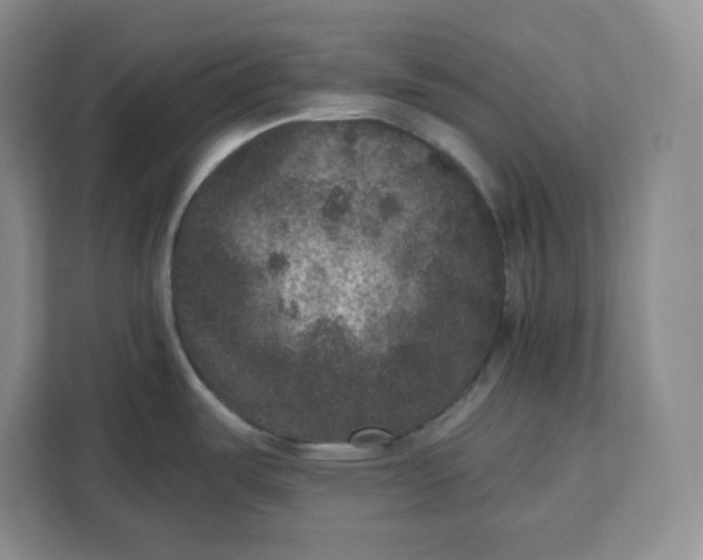 X0000111161487200907141351