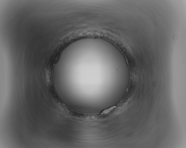 X0000111161490200907141351