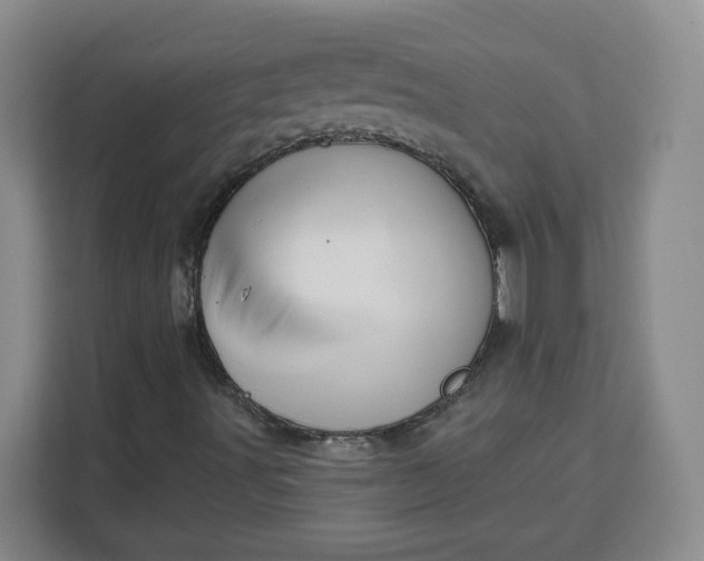X0000111161491200907141351