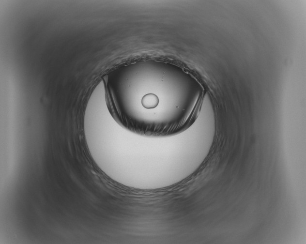 X0000111161492200907141351