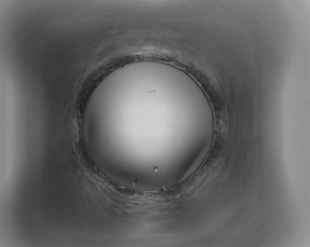 X0000111161493200907141351