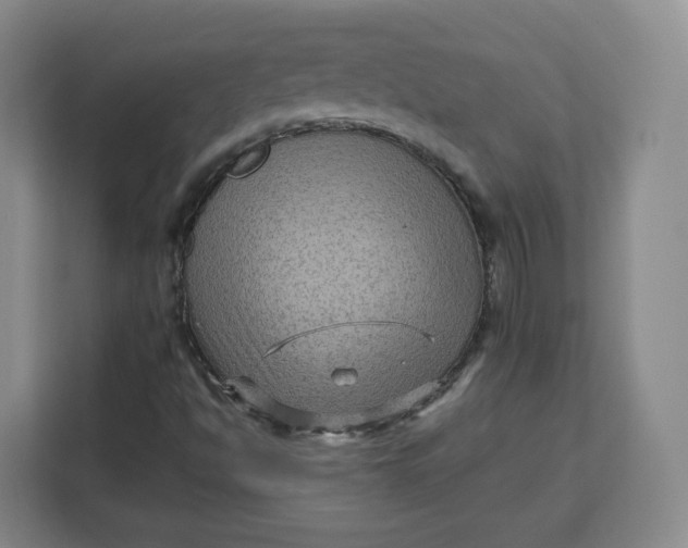 X0000111161494200907141351