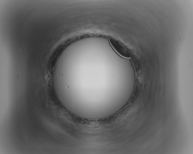 X0000111161495200907141351