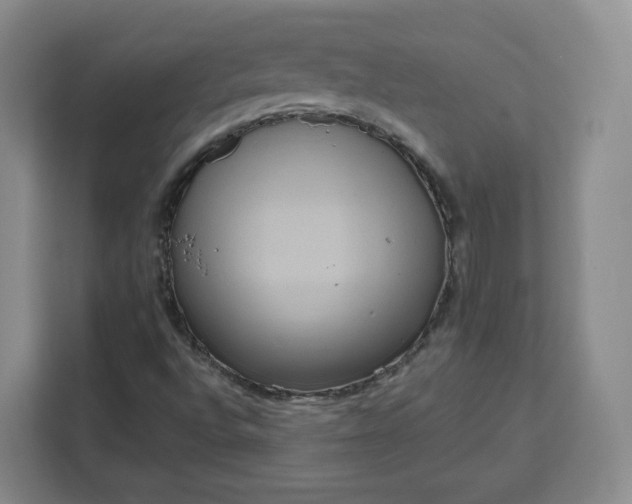 X0000111161496200907141351