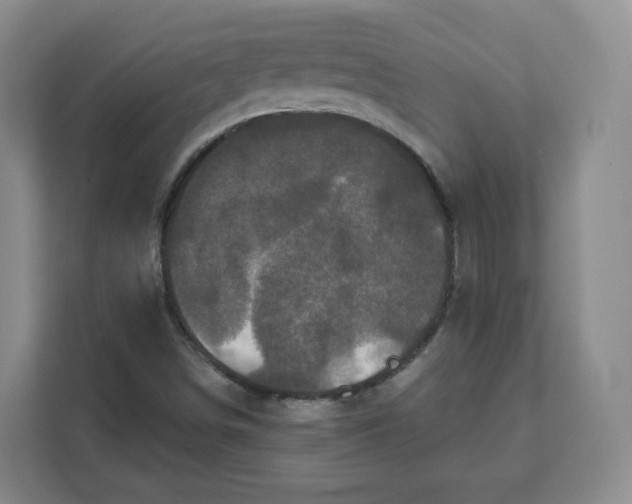 X0000111161498200907141351
