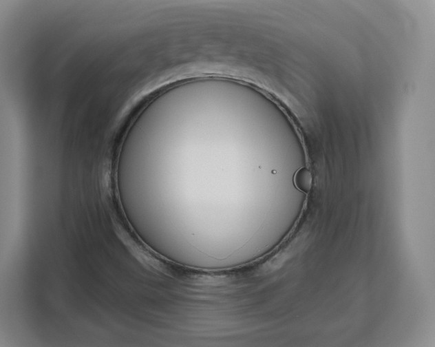 X0000111161499200907141351