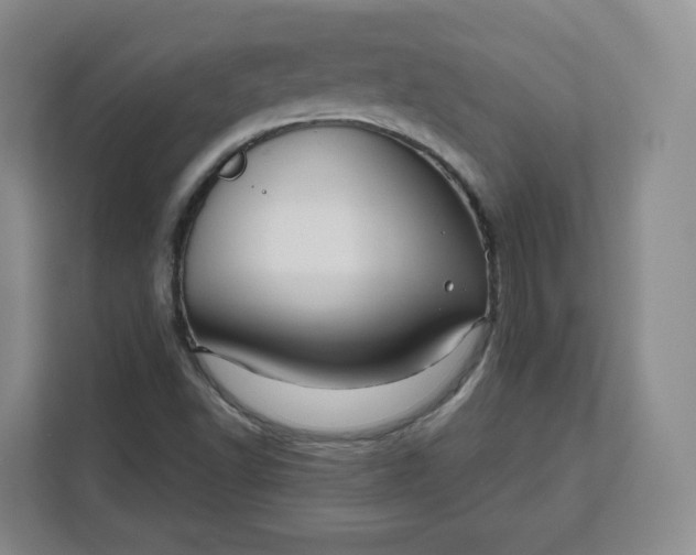 X0000111161502200907141351
