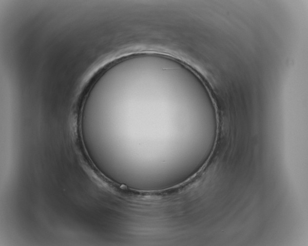 X0000111161503200907141351