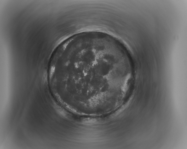 X0000111161505200907141351