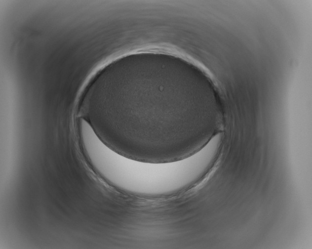 X0000111161506200907141351