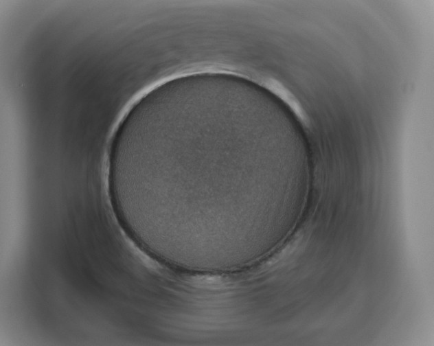 X0000111161508200907141351