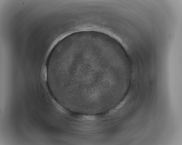 X0000111161509200907141351