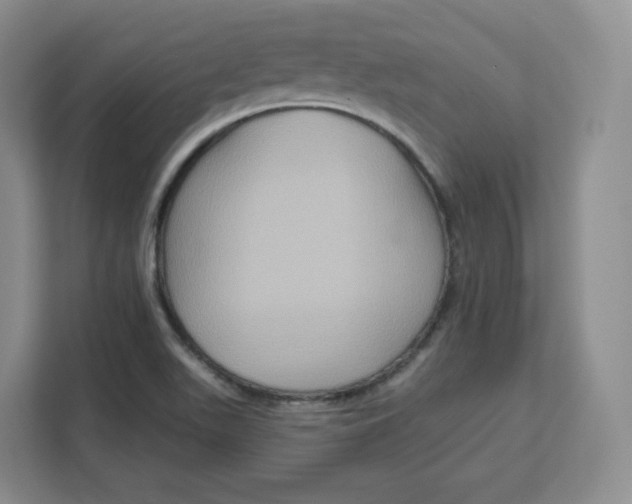 X0000111161511200907141351
