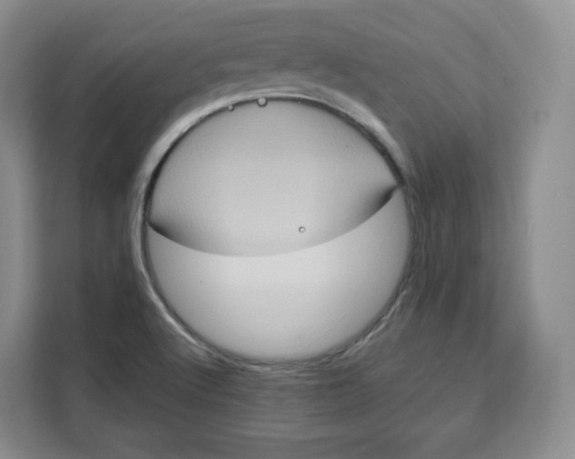 X0000111161512200907141351