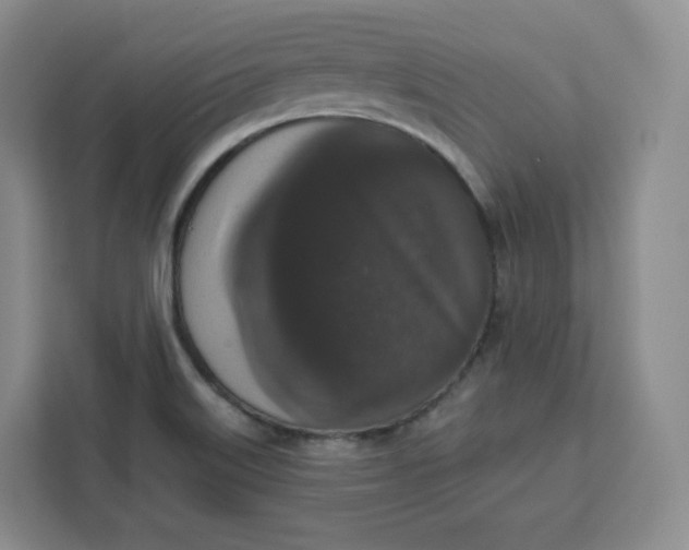X0000111161515200907141351