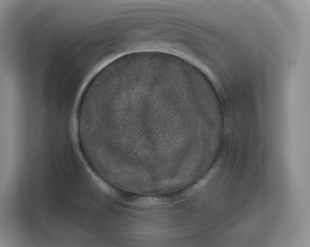 X0000111161517200907141351
