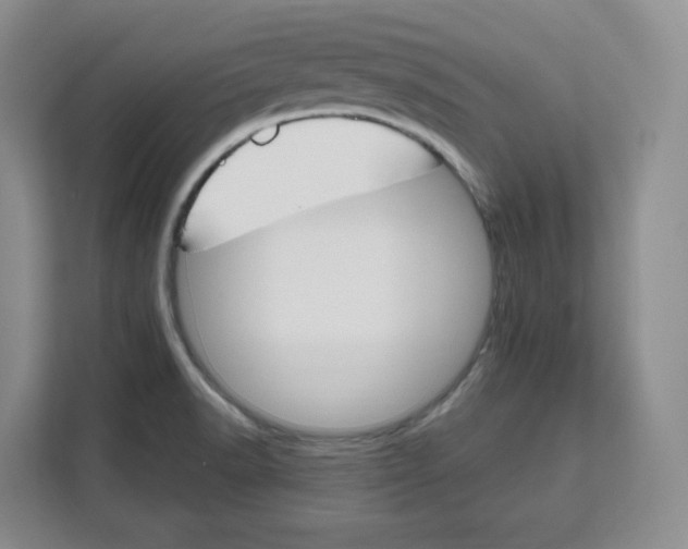 X0000111161518200907141351