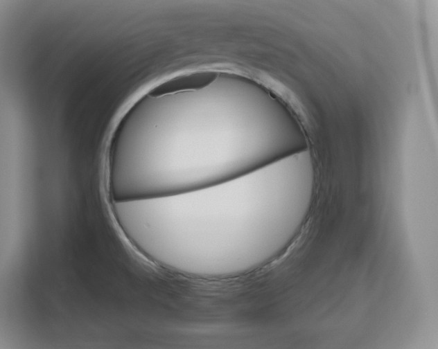 X0000111161520200907141351