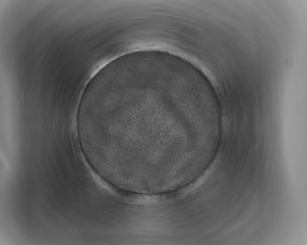 X0000111161521200907141351