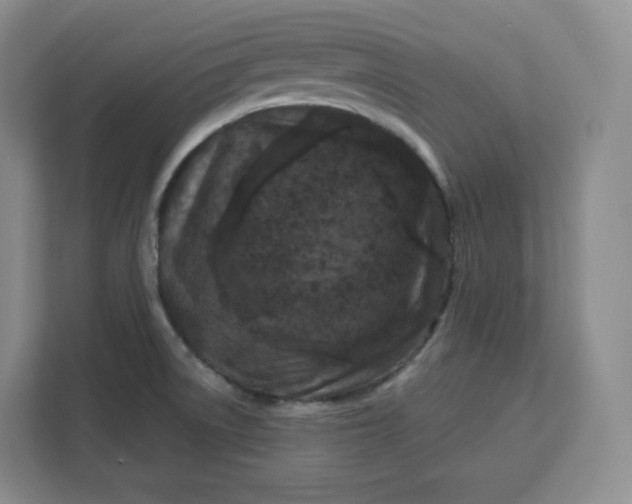 X0000111161522200907141351