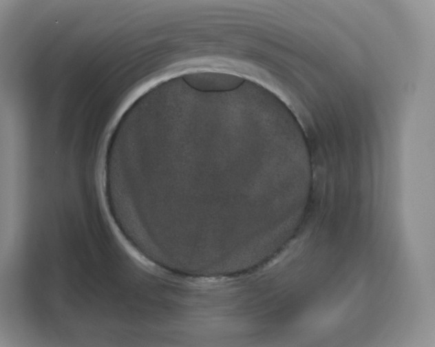 X0000111161523200907141351