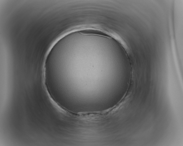 X0000111161524200907141351