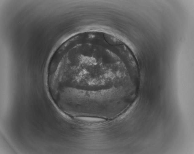 X0000111161525200907141351