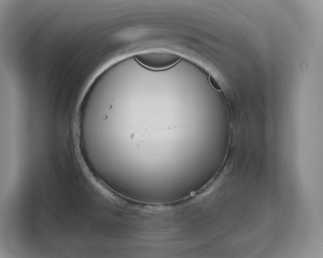 X0000111161526200907141351