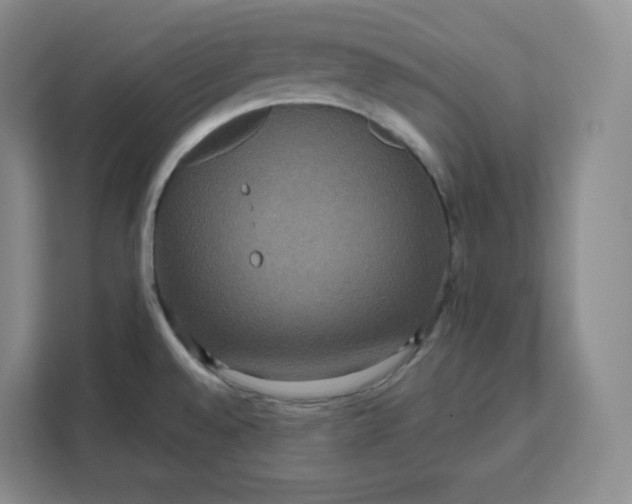 X0000111161528200907141351