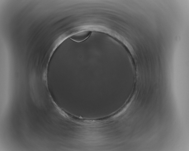 X0000111161529200907141351