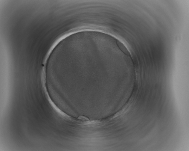 X0000111161531200907141351