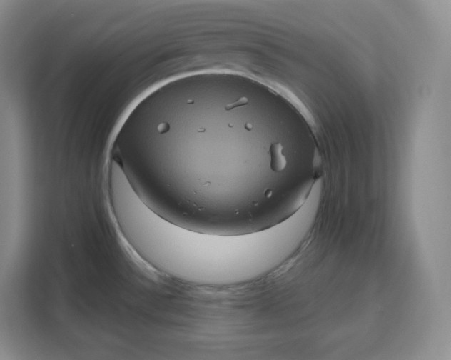 X0000111161532200907141351