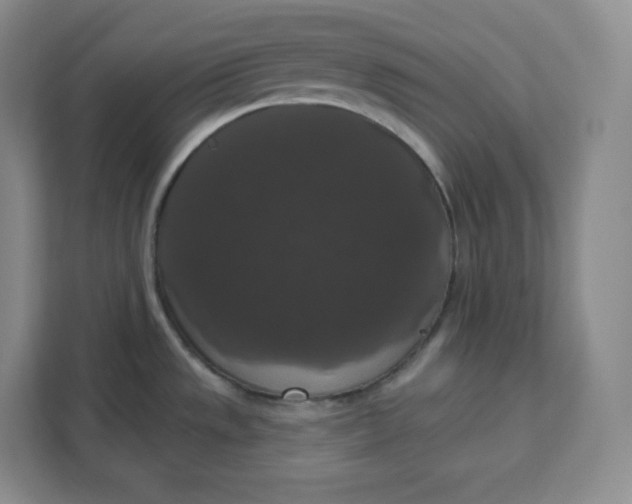X0000111161533200907141351