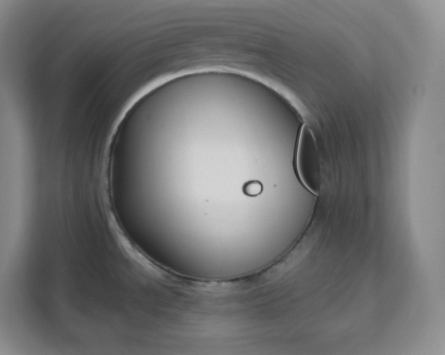 X0000111161534200907141351
