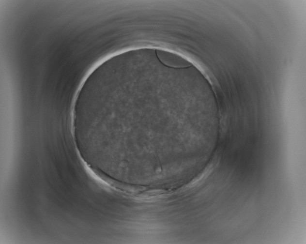 X0000111161535200907141351
