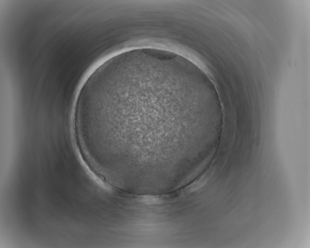 X0000111161536200907141351